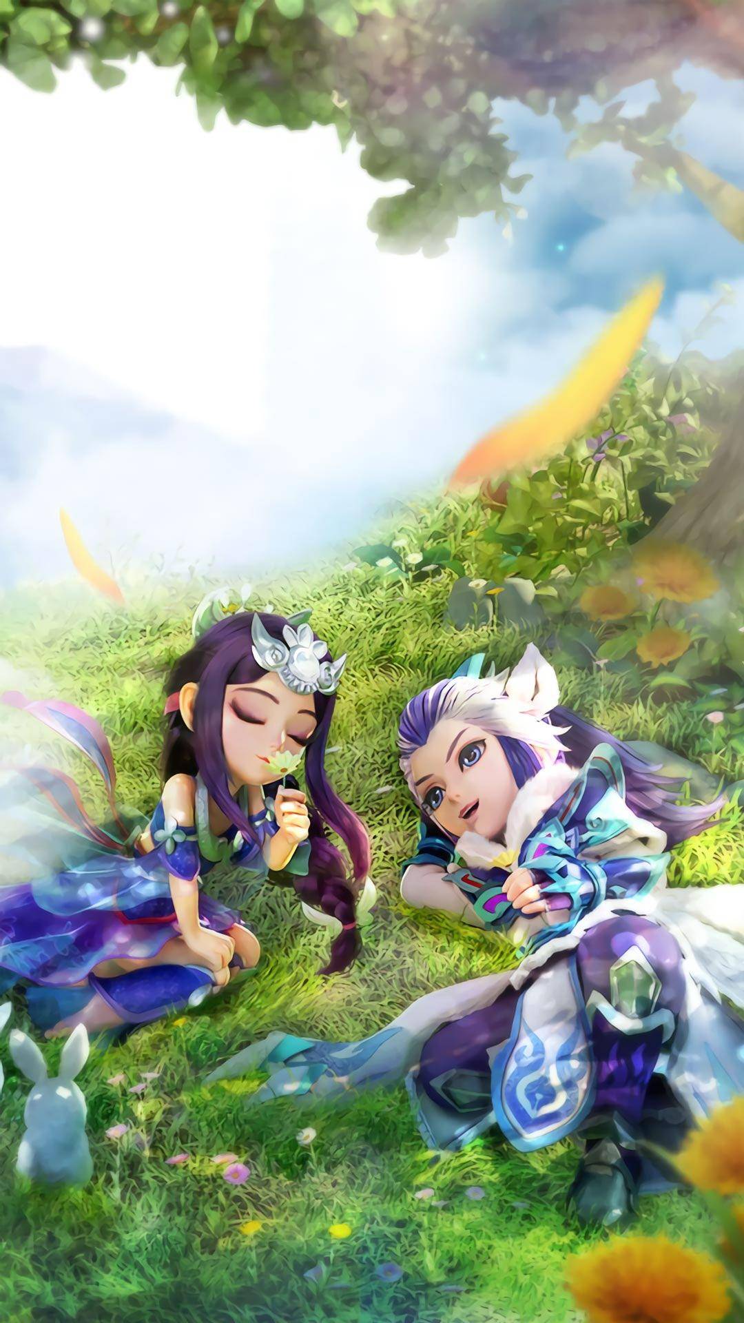 毛球的强大 毛球的强大