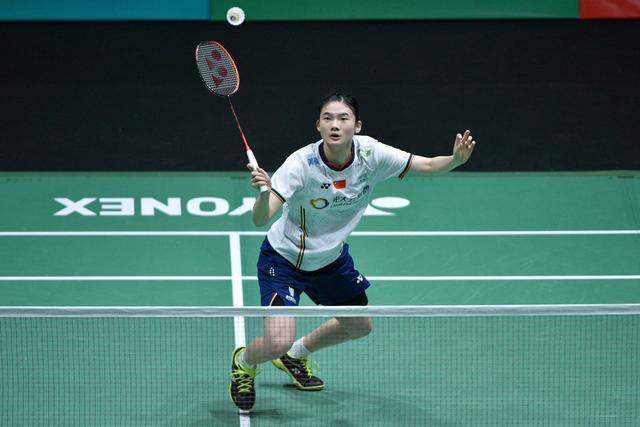 展现了极高 展现了极高